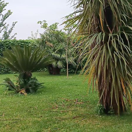 Villa Marano Caianello Vecchio Ngoại thất bức ảnh